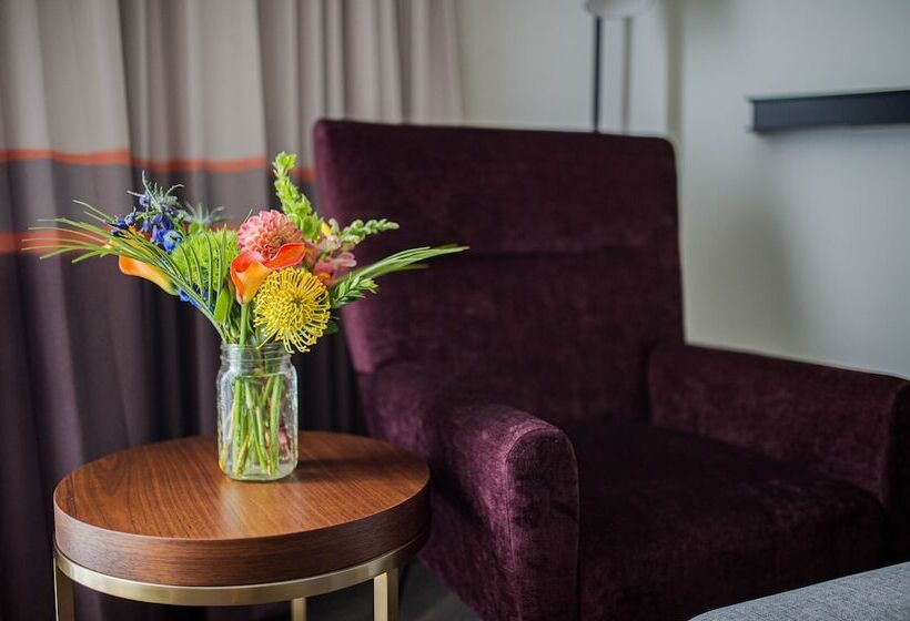 デラックスルーム, Canopy By Hilton Jersey City Arts District