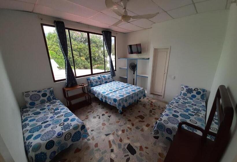 غرفة قياسية رباعية, Sael