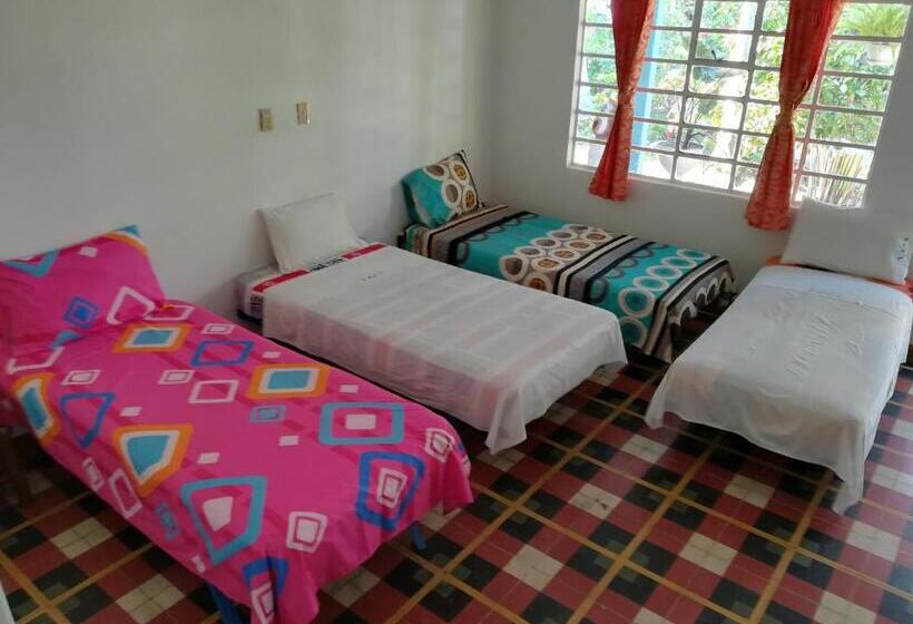 غرفة قياسية رباعية, Sael