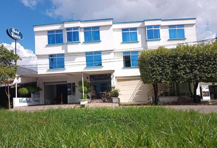 스탠다드 트리플 룸, Tania