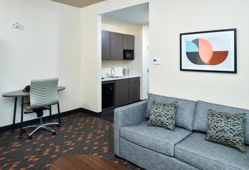 סוויטה מותאמת לאדם עם מוגבלויות, Holiday Inn Fort Worth   Alliance By Ihg