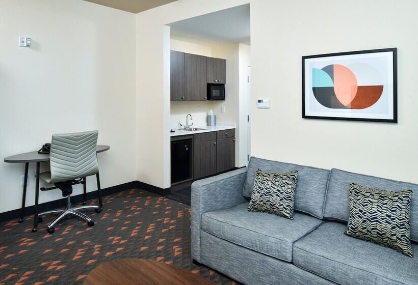 סוויטה מותאמת לאדם עם מוגבלויות, Holiday Inn Fort Worth   Alliance By Ihg