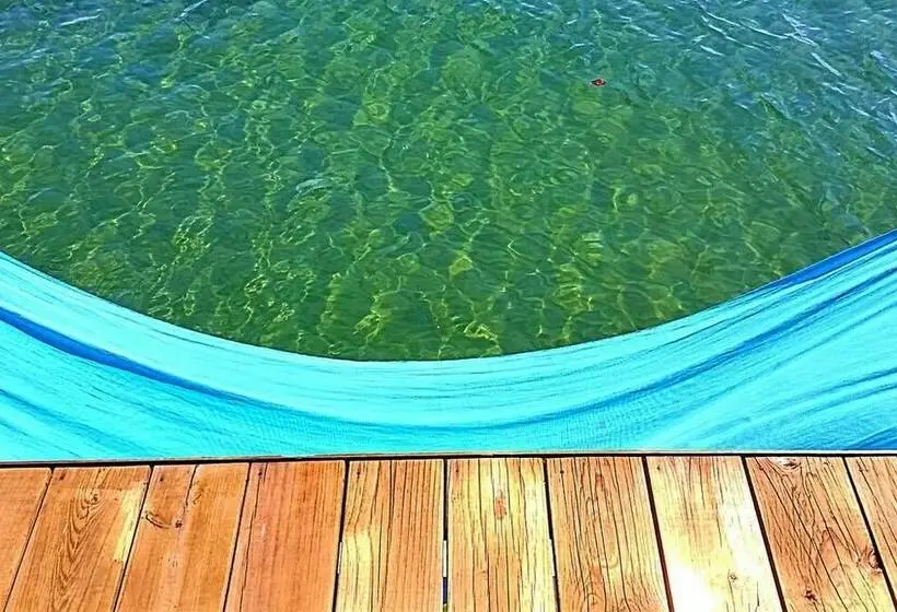 デラックスバンガロー, The Sea Monkey