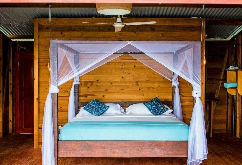 Бунгало Deluxe, The Sea Monkey