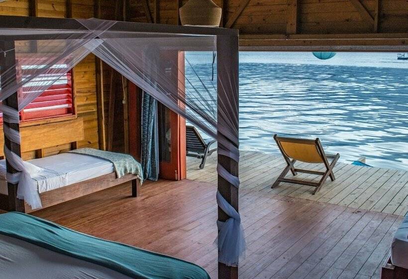 Бунгало Deluxe, The Sea Monkey