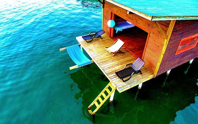 Бунгало Deluxe, The Sea Monkey