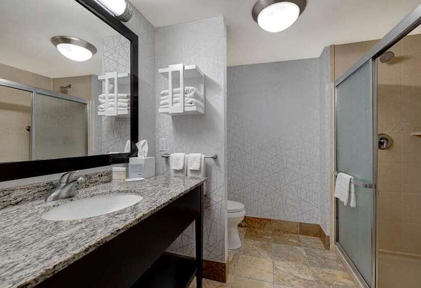 חדר סטנדרט, Hampton Inn & Suites Conway