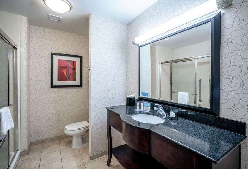 اتاق استاندارد با تخت بزرگ, Hampton Inn & Suites Raleigh Midtown