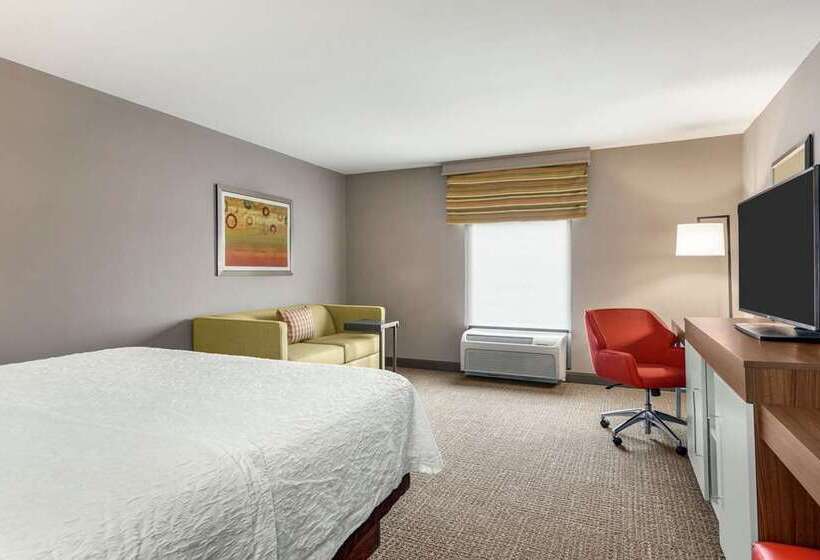 اتاق استاندارد با تخت بزرگ, Hampton Inn & Suites Raleigh Midtown
