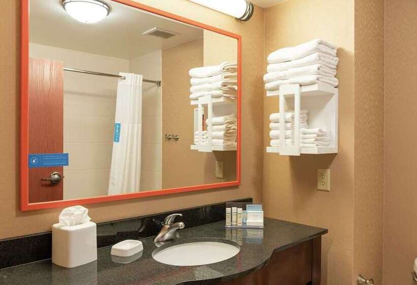 اتاق استاندارد با تخت بزرگ, Hampton Inn & Suites Raleigh Midtown