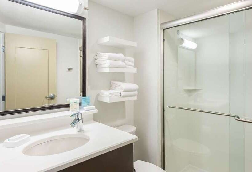 اتاق استاندارد با تخت بزرگ, Hampton Inn & Suites Raleigh Midtown