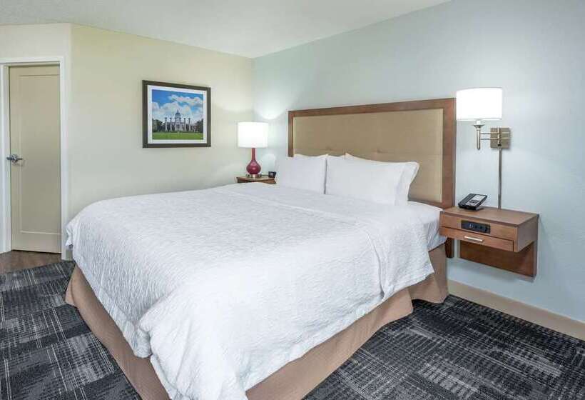 اتاق استاندارد با تخت بزرگ, Hampton Inn & Suites Raleigh Midtown