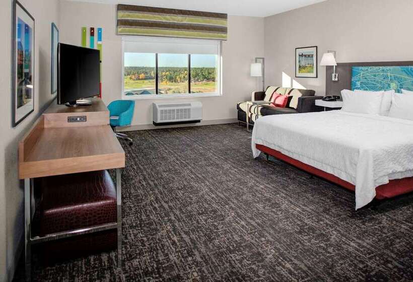 اتاق استاندارد, Hampton Inn & Suites Raleigh Midtown