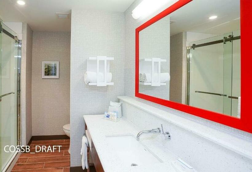 身障者適用キングサイズベッドルーム, Hampton Inn Colorado Springs I25 Central