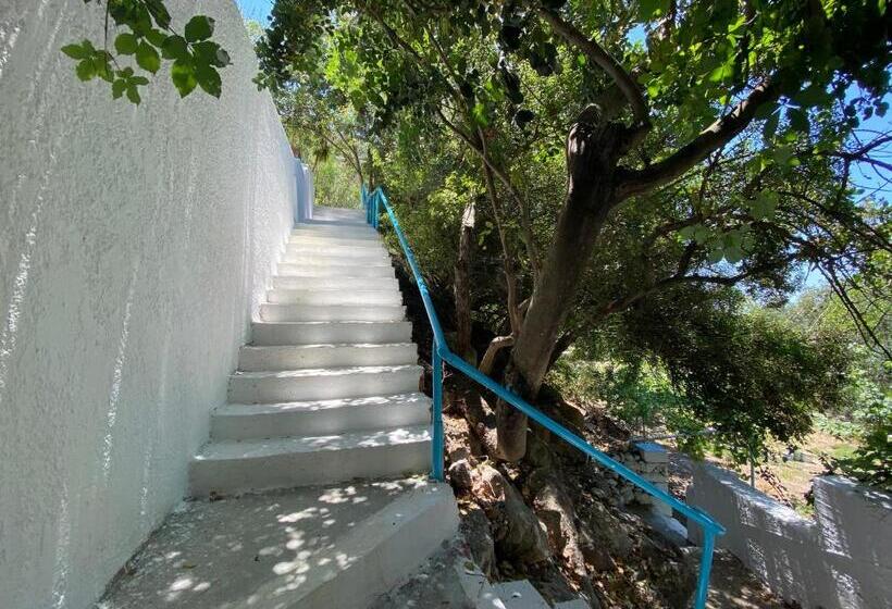 带露台的标准房间, Oleander S Garden Traditional Cretan Cottage