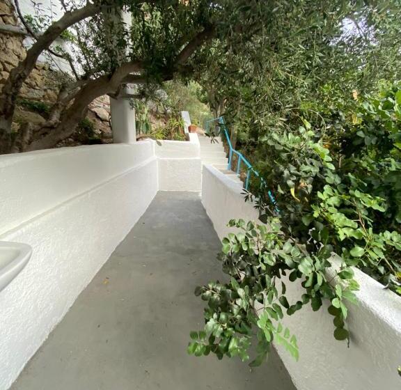 带露台的标准房间, Oleander S Garden Traditional Cretan Cottage