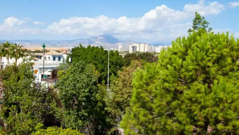اتاق استاندارد, Alicante Golf