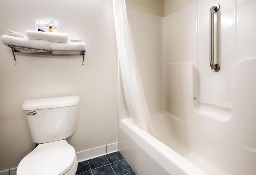 带大床的标准间, Best Western Clearlake Plaza