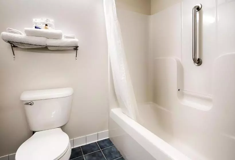 اتاق استاندارد با تخت بزرگ, Best Western Clearlake Plaza