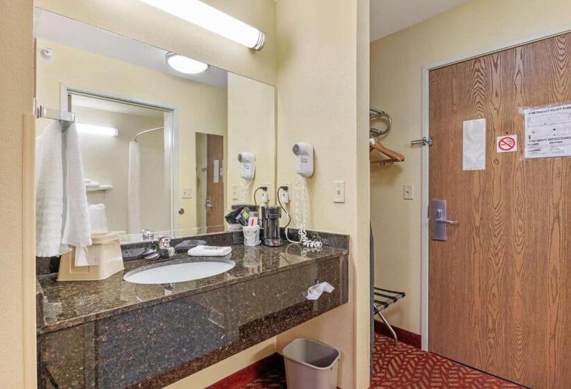 스탠다드 룸 킹사이즈 침대, Best Western Clearlake Plaza