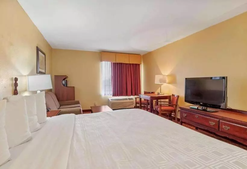 اتاق استاندارد با تخت بزرگ, Best Western Clearlake Plaza