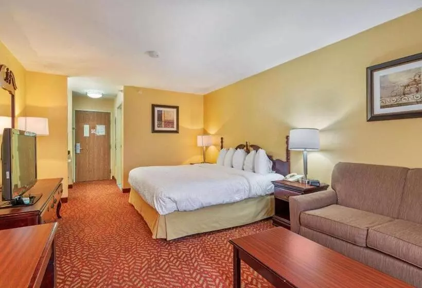 اتاق استاندارد با تخت بزرگ, Best Western Clearlake Plaza