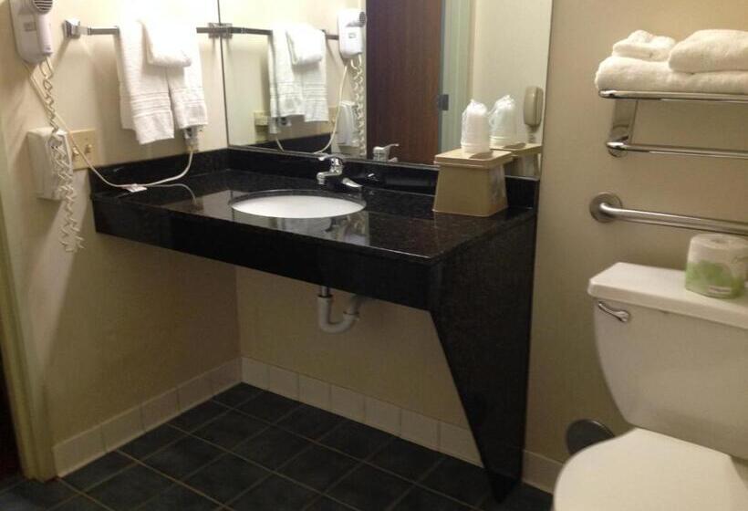 适合残疾人使用的标准间, Best Western Clearlake Plaza