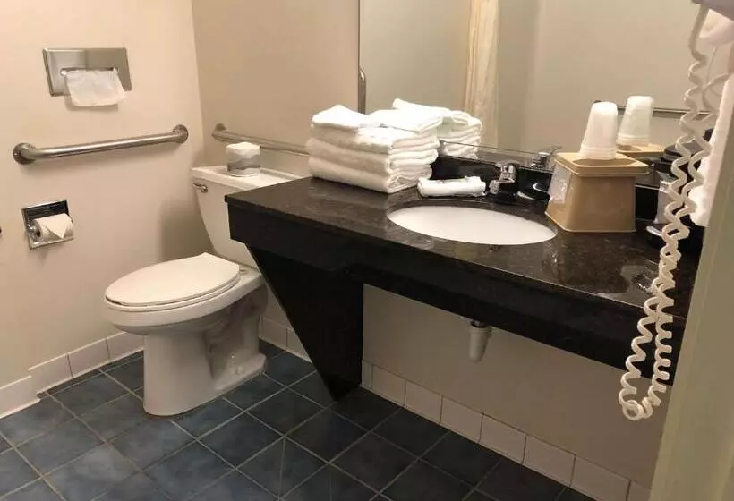 اتاق استاندارد برای معلولان, Best Western Clearlake Plaza