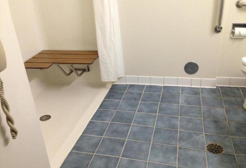 장애인을 위한 스탠다드 룸, Best Western Clearlake Plaza