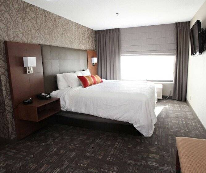 סוויטה, Best Western Plus Cottontree Inn