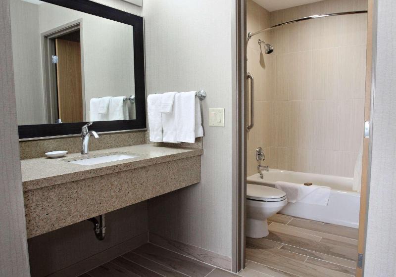 스위트 킹사이즈 침대, Best Western Plus Cottontree Inn