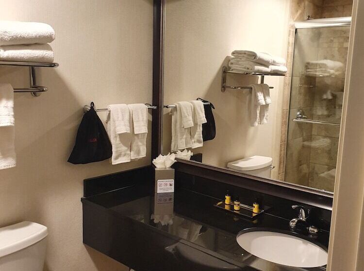 חדר סטנדרט שתי מיטות זוגיות, Best Western Plus Inntowner Madison