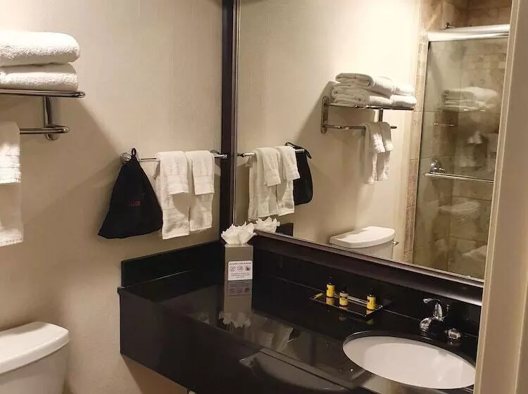اتاق استاندارد با 2 تخت دوبل, Best Western Plus Inntowner Madison