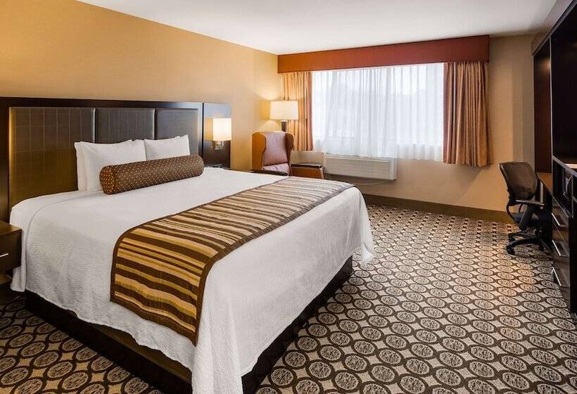 סוויטה, Best Western Plus Inntowner Madison