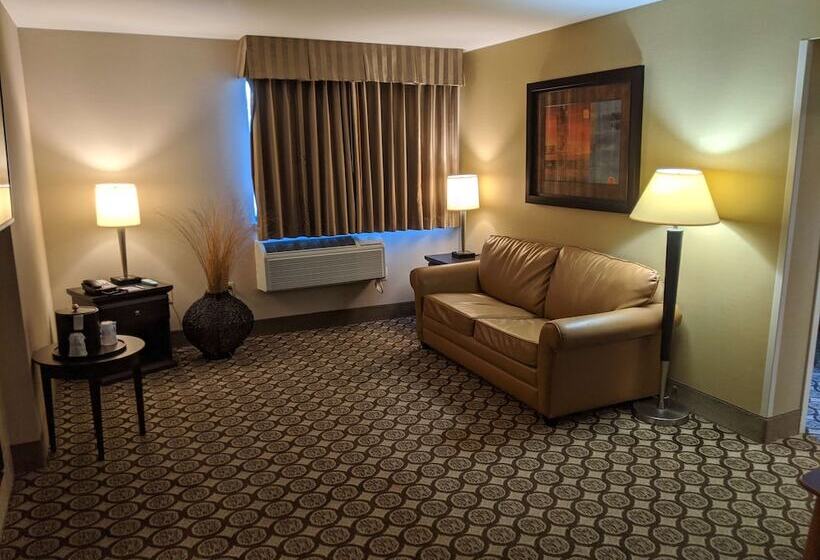 סוויטה, Best Western Plus Inntowner Madison