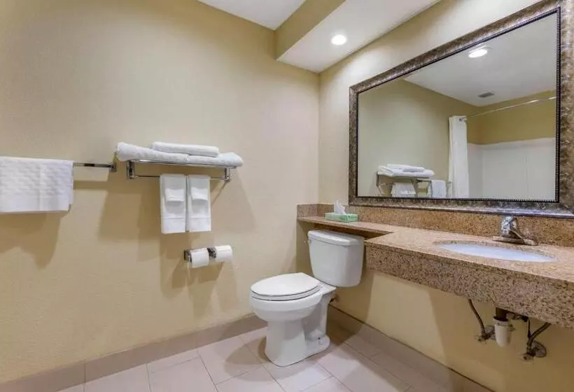 ２ダブルベッドのスタンダードルーム, Best Western Seneca Clemson