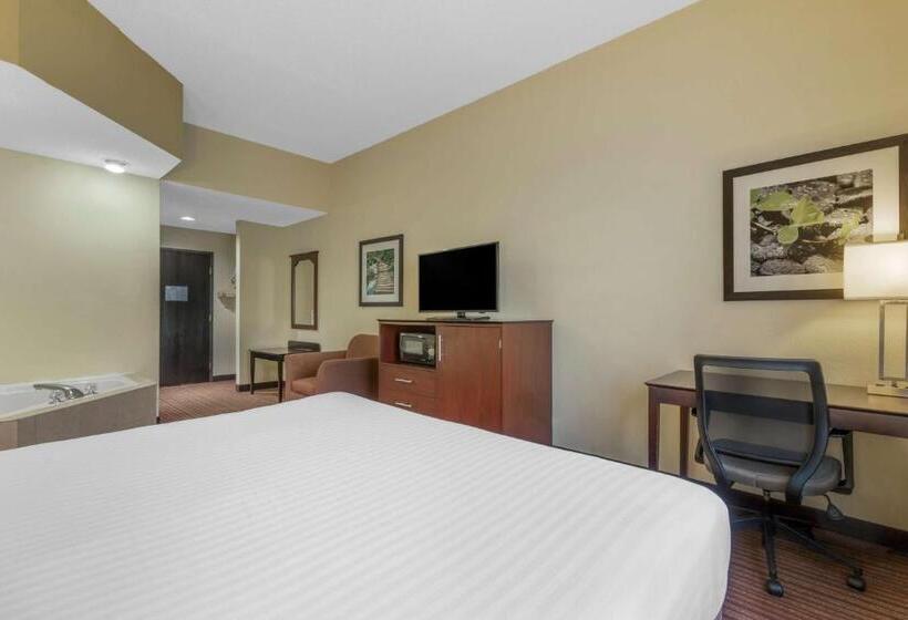 Стандартный Номер Кровать Кинг, Best Western Seneca Clemson