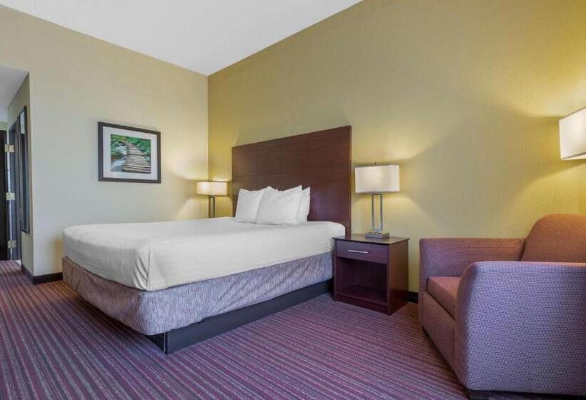 Номер Стандарт Кровать Кинг Адаптированный для Инвалидов, Best Western Seneca Clemson