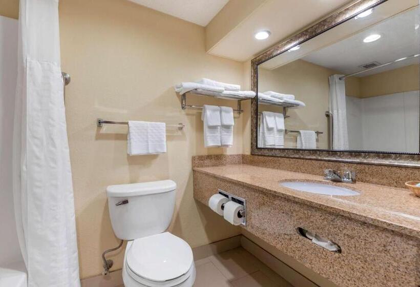 Люкс Кровать Кинг, Best Western Seneca Clemson