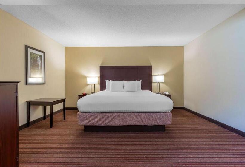 Люкс Кровать Кинг, Best Western Seneca Clemson