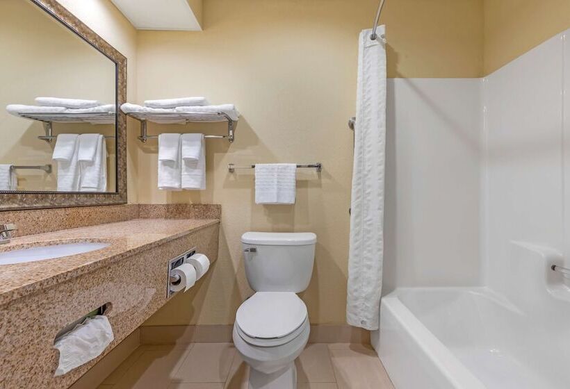 Номер Стандарт 2 Двуспальные Кровати, Best Western Seneca Clemson