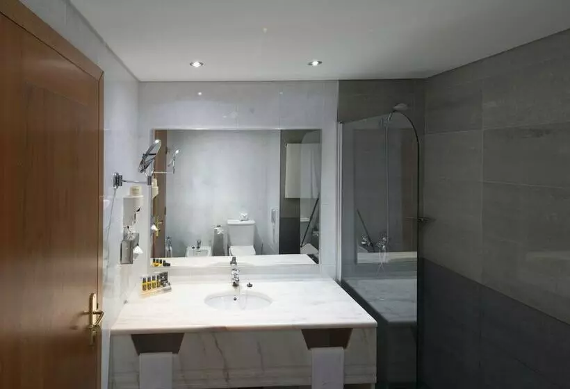 اتاق سوپریور, Vila Gale Porto   Centro