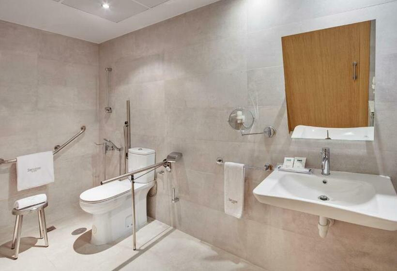 اتاق استاندارد, Sercotel Alcala 611