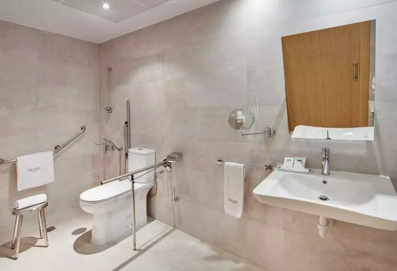اتاق استاندارد, Sercotel Alcala 611