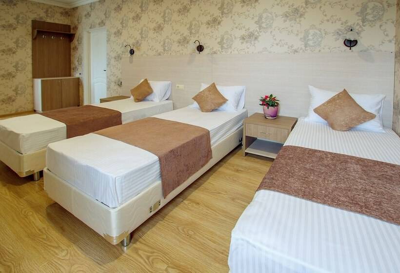 اتاق استاندارد سه نفره, Atlas