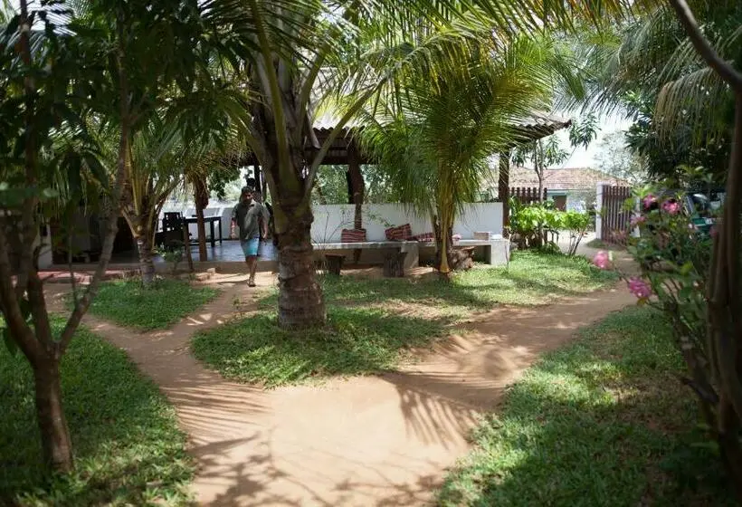 Deluxe-huone, East Surf Cabanas
