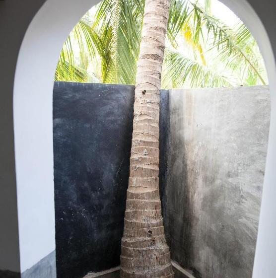 اتاق لوکس, East Surf Cabanas