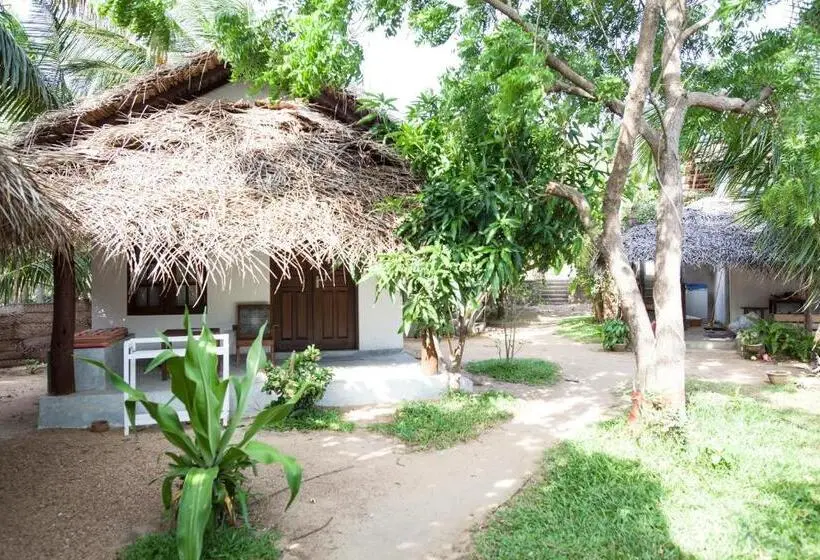 Deluxe-huone, East Surf Cabanas