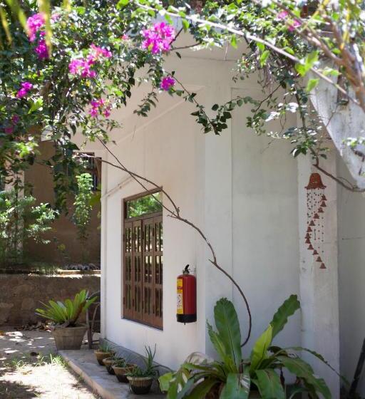 اتاق خانوادگی با چشمانداز باغ, East Surf Cabanas