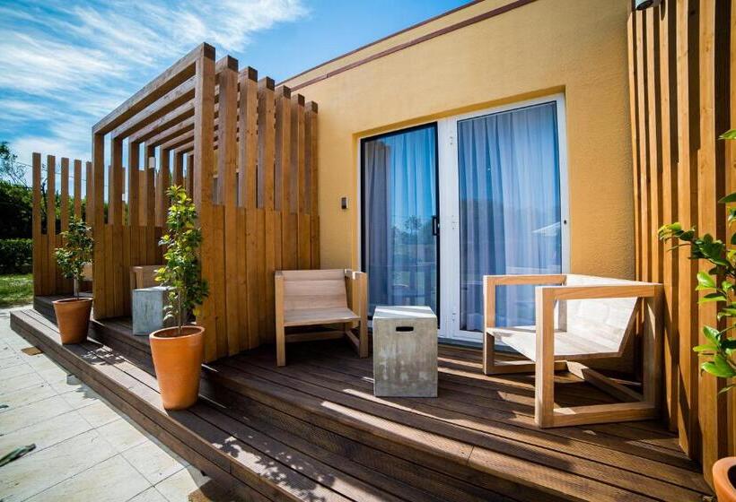 غرفة قياسية, Sense Of Ofir